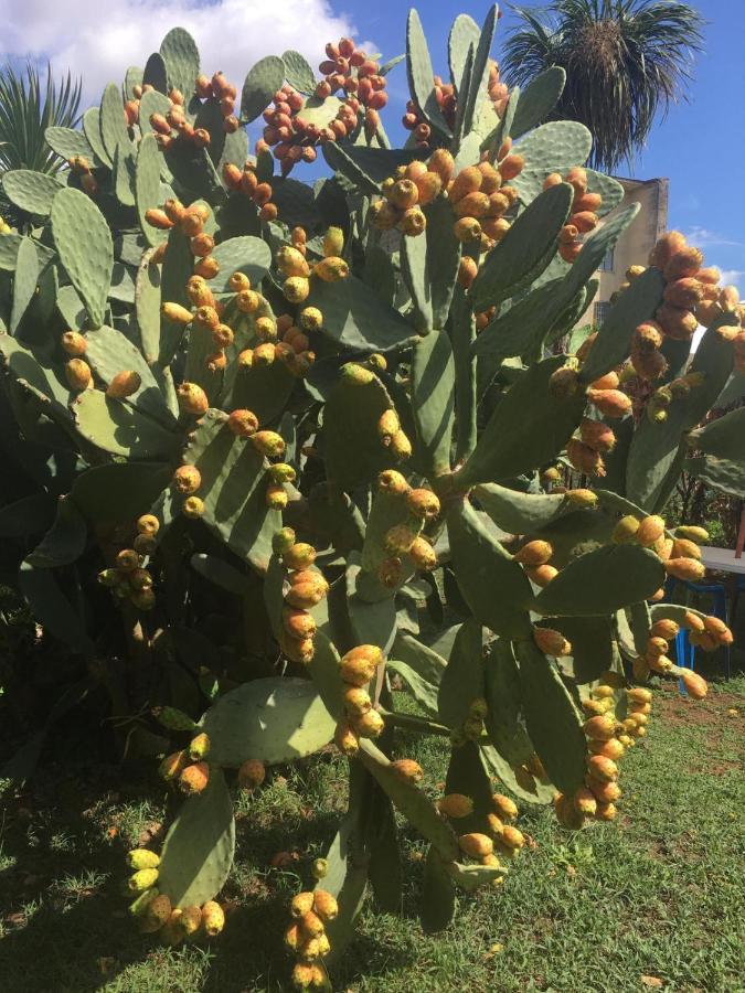 Il Giardino Degli Agrumi Caserta Eksteriør billede