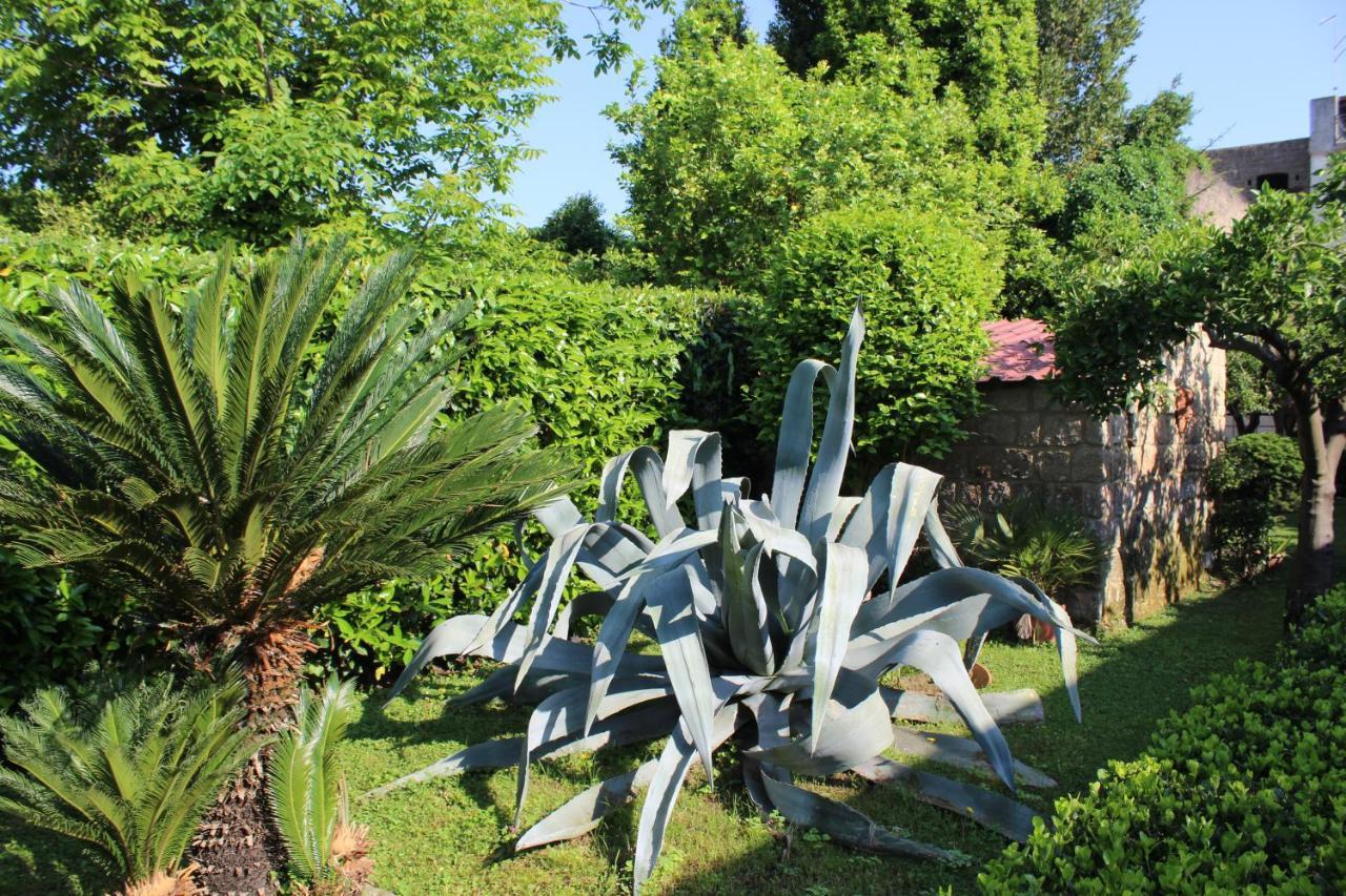 Il Giardino Degli Agrumi Caserta Eksteriør billede