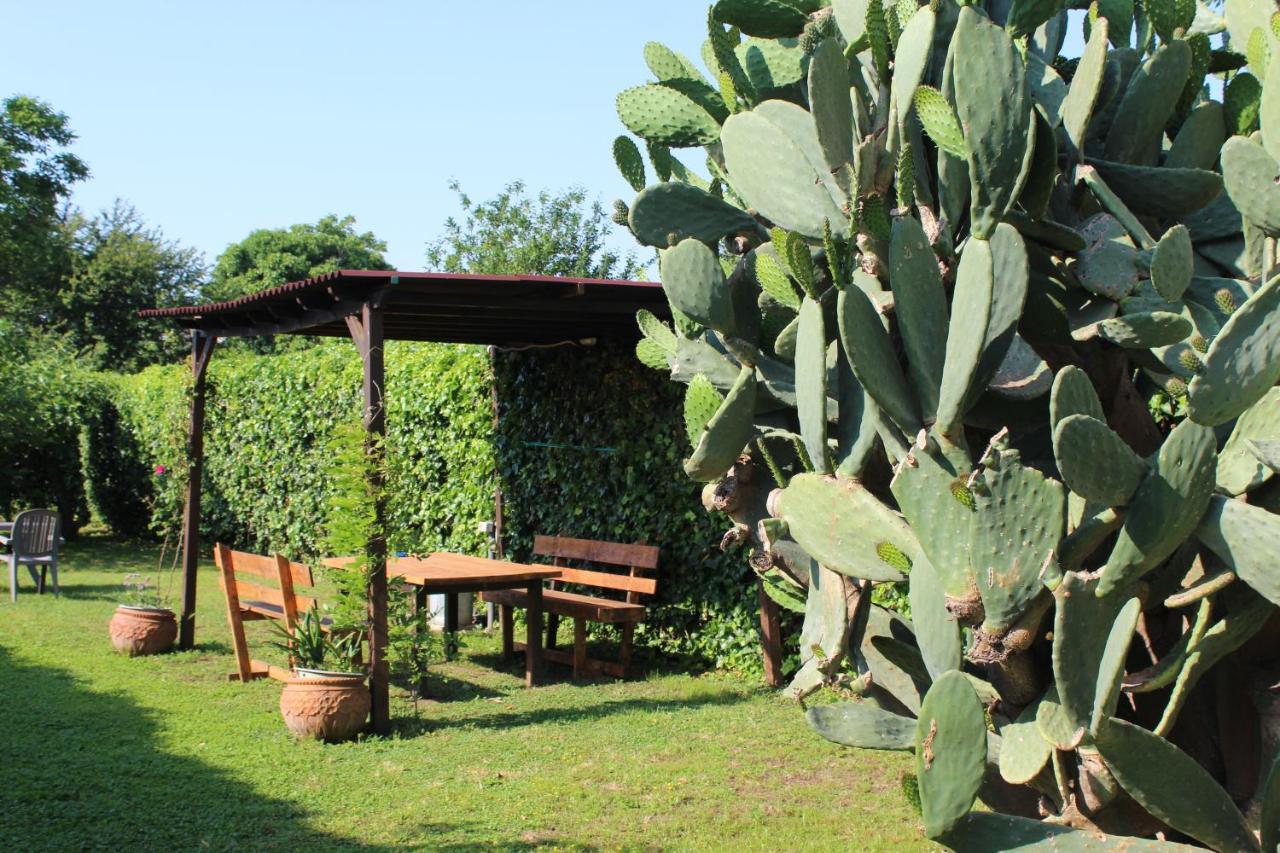 Il Giardino Degli Agrumi Caserta Eksteriør billede