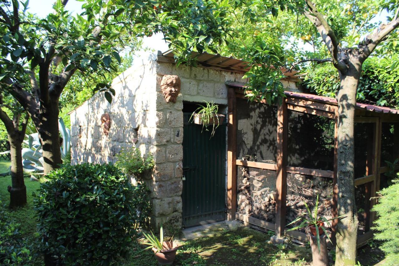 Il Giardino Degli Agrumi Caserta Eksteriør billede