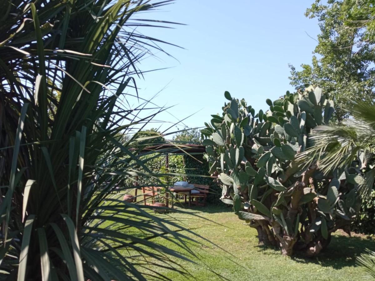 Il Giardino Degli Agrumi Caserta Eksteriør billede
