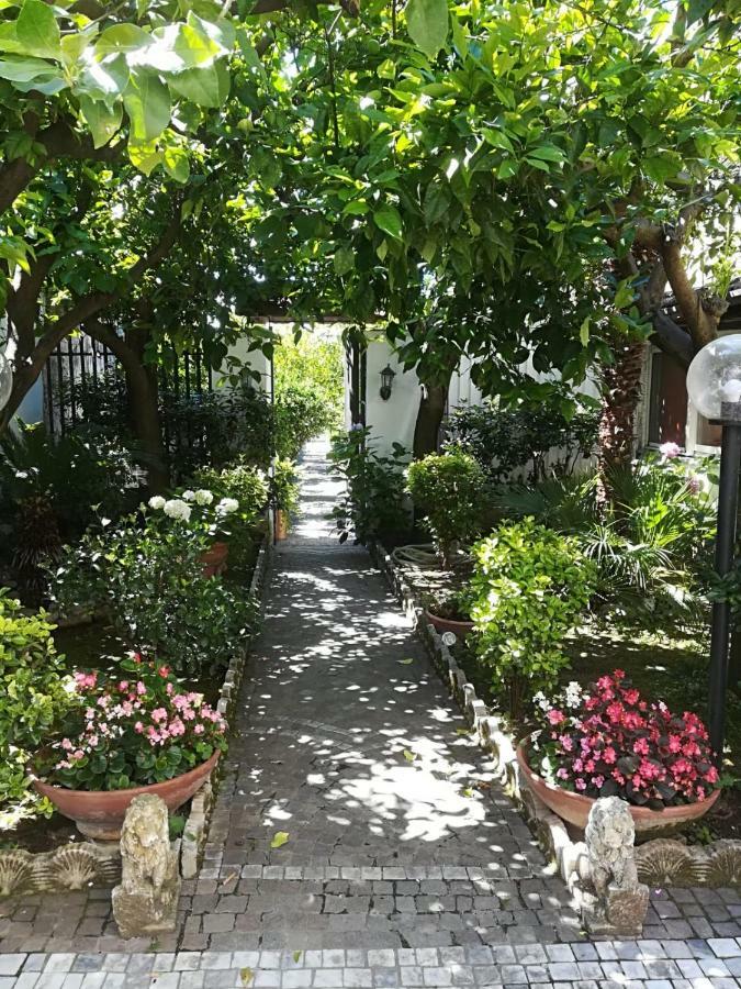 Il Giardino Degli Agrumi Caserta Eksteriør billede