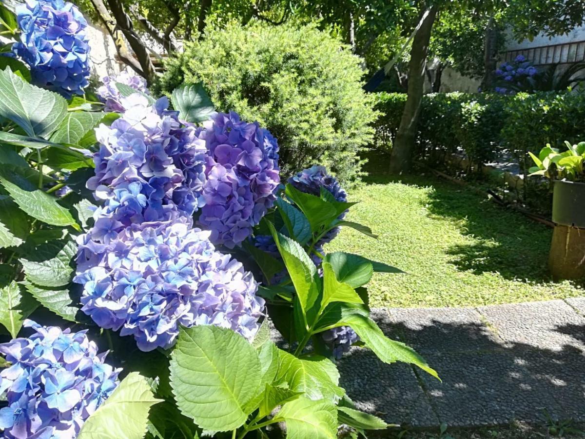 Il Giardino Degli Agrumi Caserta Eksteriør billede